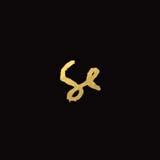 Sylvan Esso